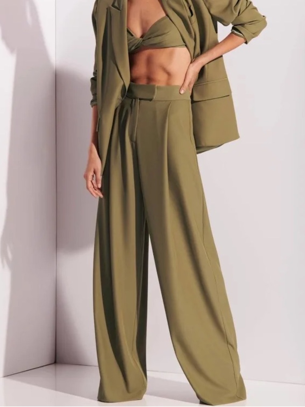 NEW THE SEI baggy pleated wide leg trouser in sage 2